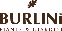 logo Burlini